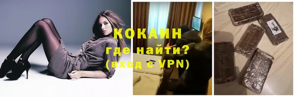 шишки Чердынь