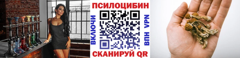 OMG онион  Бабушкин  Галлюциногенные грибы мицелий 